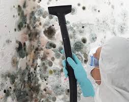 Best Emergency Mold Remediation in Falls Creek, PA